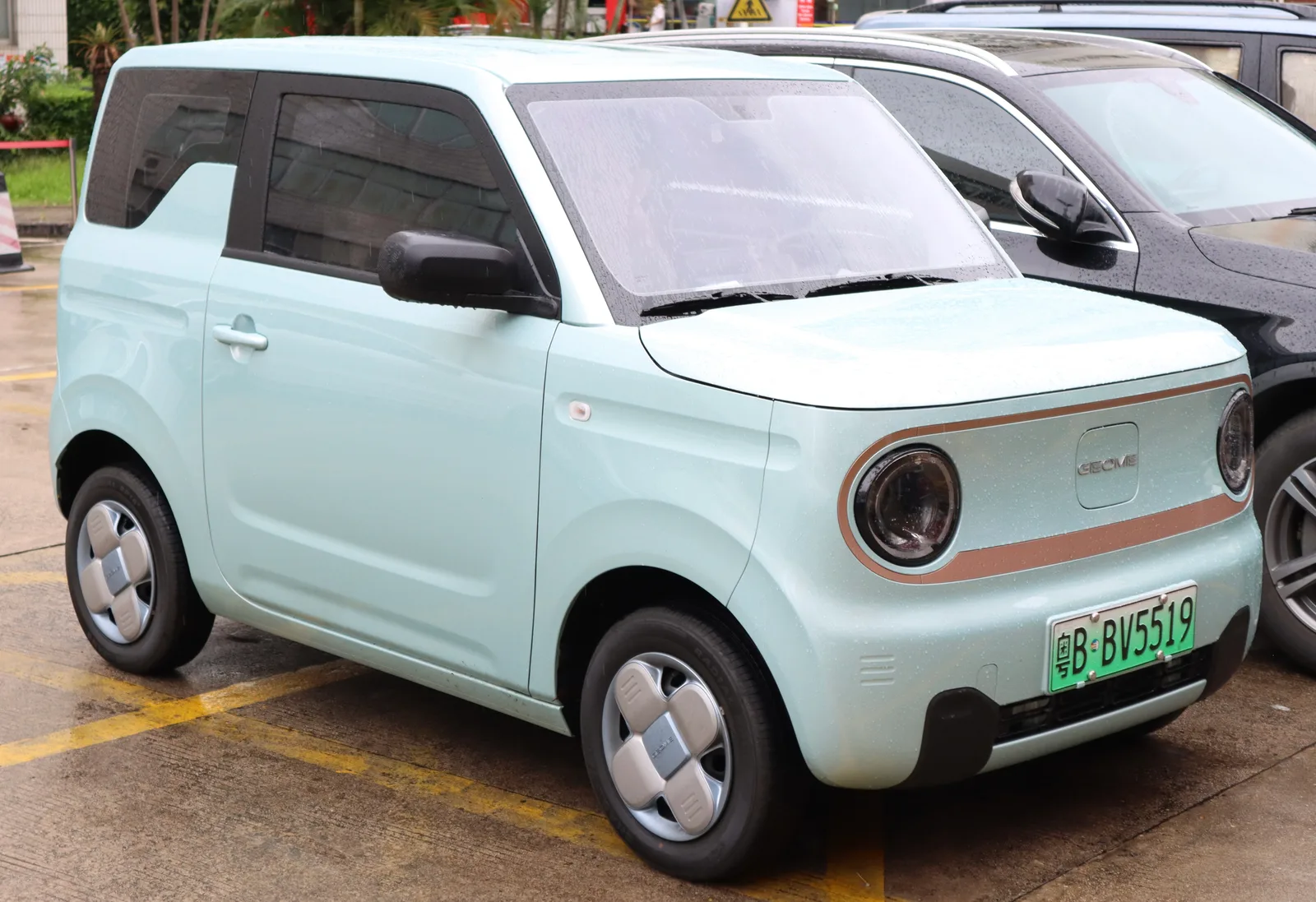 Panda Mini EV