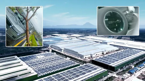 Tajfun Noul uderza w bazę BYD w Shenzhen – dostawy Da Tang i Ti7 opóźnione