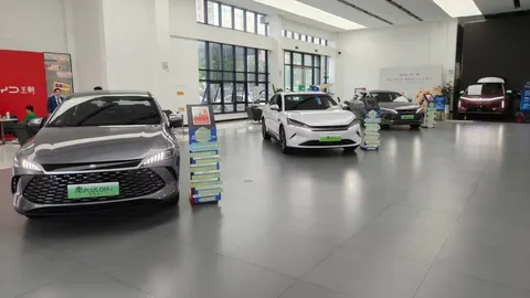 Chińskie koncerny w światowej pierwszej dziesiątce producentów: BYD (4,8%) i Geely (4,6%)
